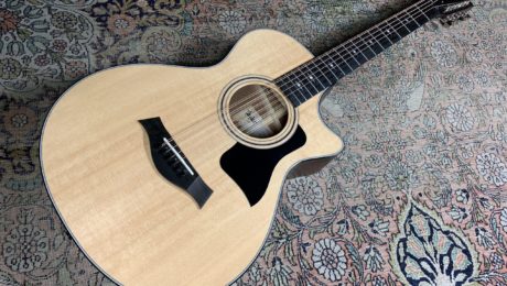 Taylor 352ce, une guitare 12 cordes maniable et facile à jouer